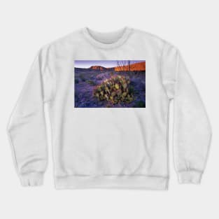 Opuntia In Chihuahuan Desert Landscape Big Bend National Park Crewneck Sweatshirt